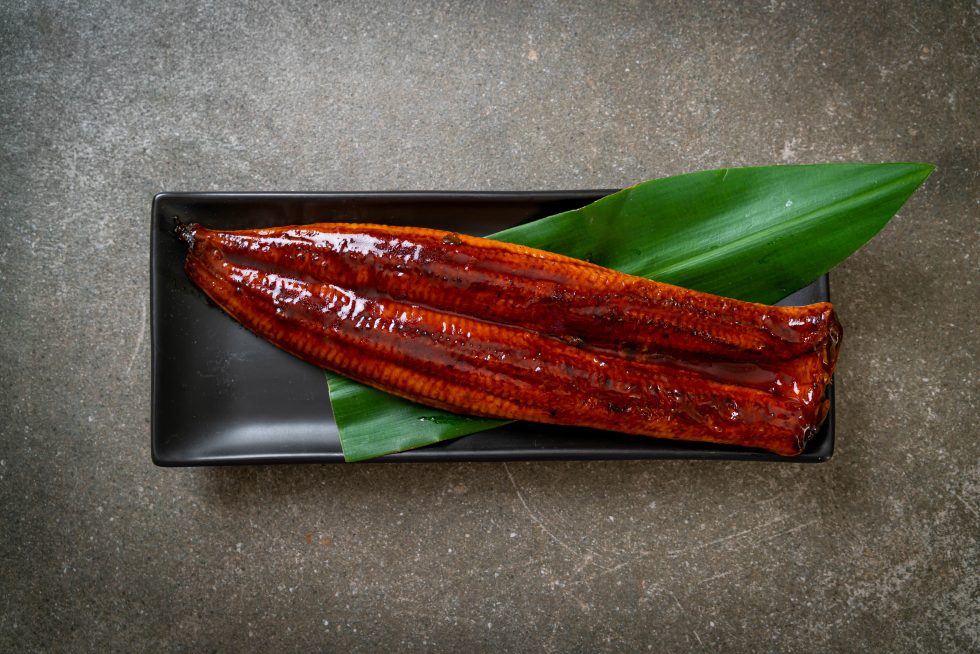Master the unagi flavor what does eel taste like ecoki
