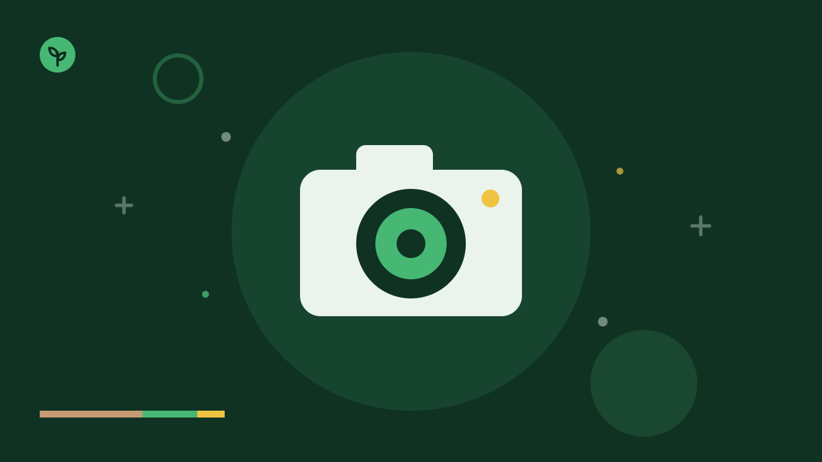 What Camera Does Roman Atwood Use? [Revealed: 5 Choices]
