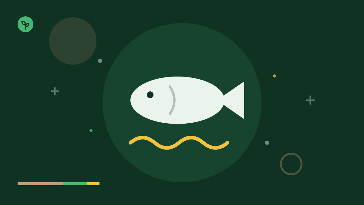 Master the Unagi Flavor: What Does Eel Taste Like?