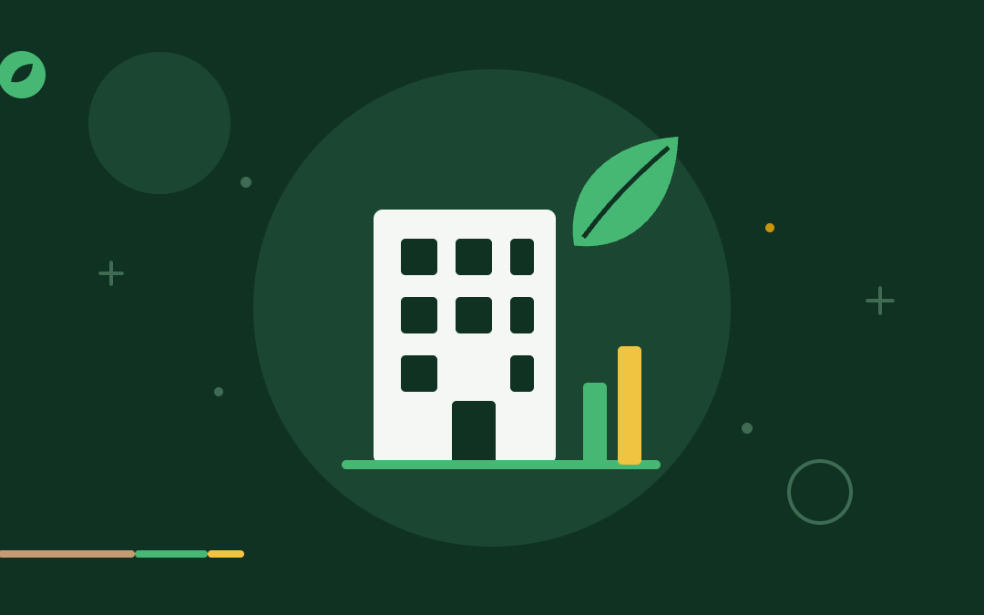 What Is a Sustainable Business? Definition & Examples