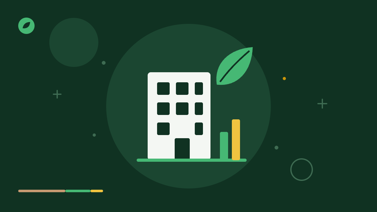 What Is a Sustainable Business? Definition & Examples